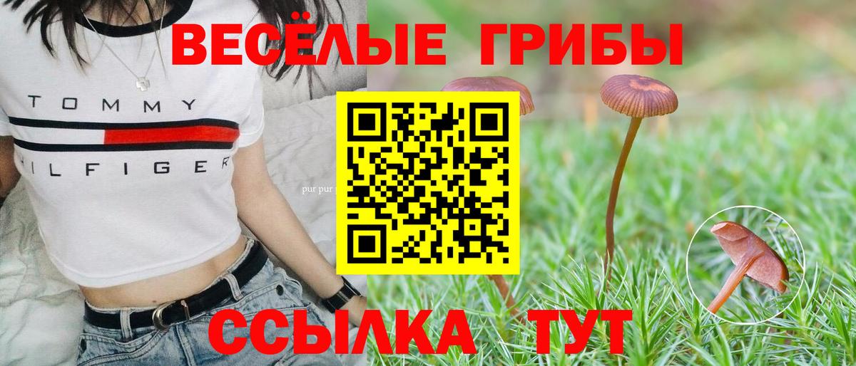 Псилоцибиновые грибы Magic Shrooms  Псилоцибиновые грибы ЛСД  Вход с VPN  Югорск 