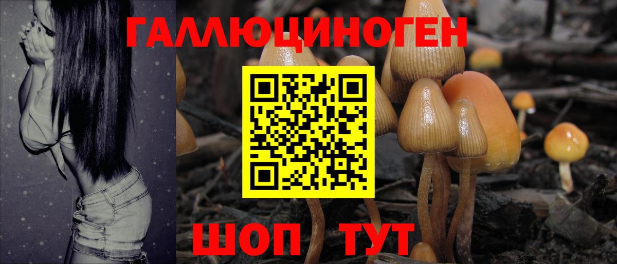 Псилоцибиновые грибы ЛСД Югорск